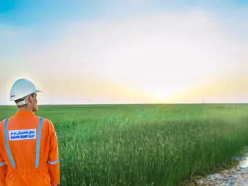 An employee of Bauer Resources at constructed wetland for wastewater treatment at nimr oman.