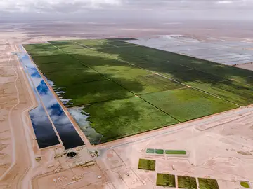 The nimr water treatment plant is a nature based solution for the oil and gas sector at oman.