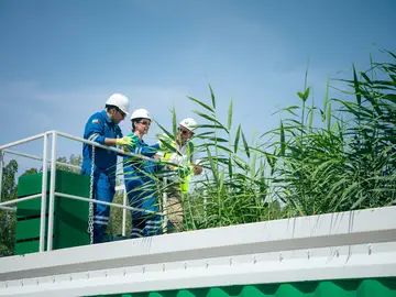 Ecosys employees are always available for questions, problems and as contacts.