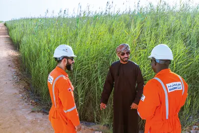 Ecosys® is a brand of BAUER Resources GmbH and the constructed wetland in Oman will be operated until the year 2044